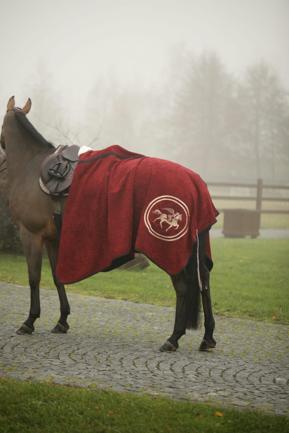 Crimson show rug - Image 2