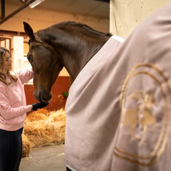 Exclusive Valentines premium Enibo rug