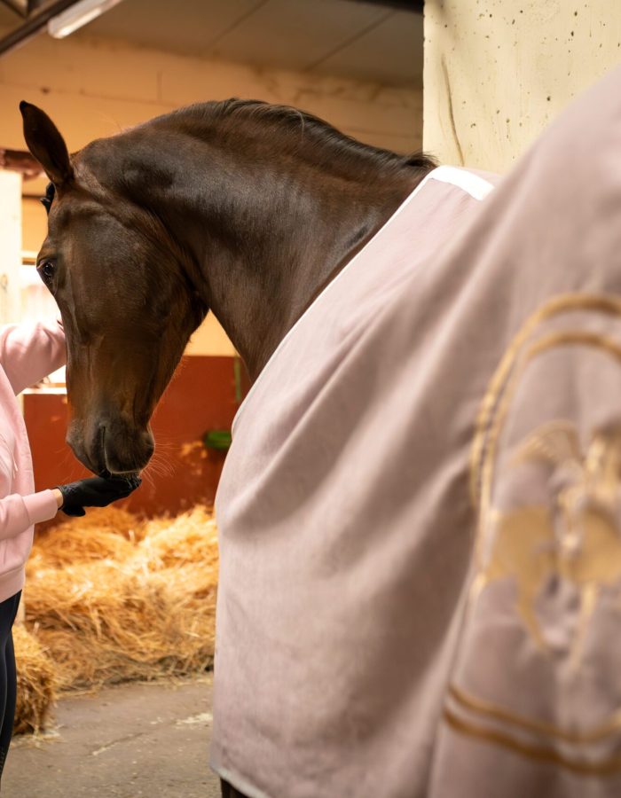 Exclusive Valentines premium Enibo rug